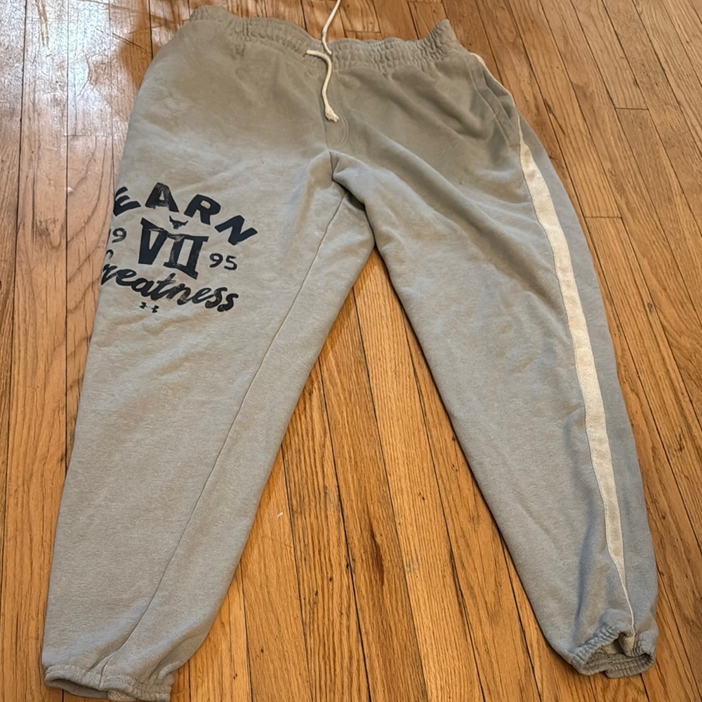 Gray Sweatpants with Graphic Print